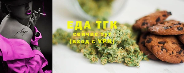 шишки Абаза