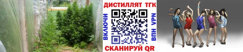 ТГК гашишное масло  Палласовка 