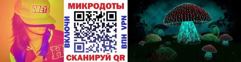 купить Палласовка hydra вход Галлюциногенные грибы Cubensis